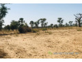 terrain-de-129-hectare-vers-notto-diobass-small-1
