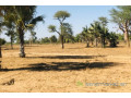 terrain-de-129-hectare-vers-notto-diobass-small-0