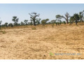 terrain-de-129-hectare-vers-notto-diobass-small-2