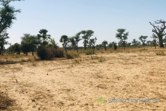 terrain-de-129-hectare-vers-notto-diobass-big-1