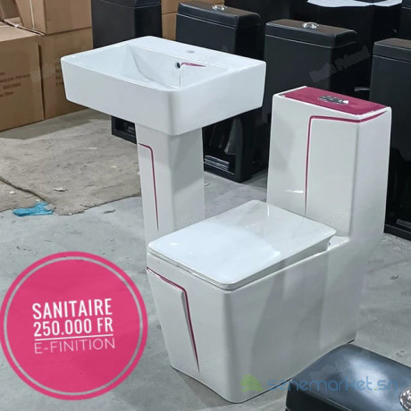 ensemble-chaise-anglaise-et-lavabo-moderne-couleur-rare-big-0