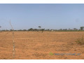 terrain-de-130-hectare-vers-notto-diobass-small-2