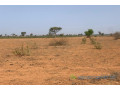 terrain-de-130-hectare-vers-notto-diobass-small-1