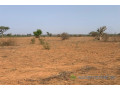 terrain-de-130-hectare-vers-notto-diobass-small-0