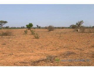 Terrain de 1,30 hectare vers Notto Diobass