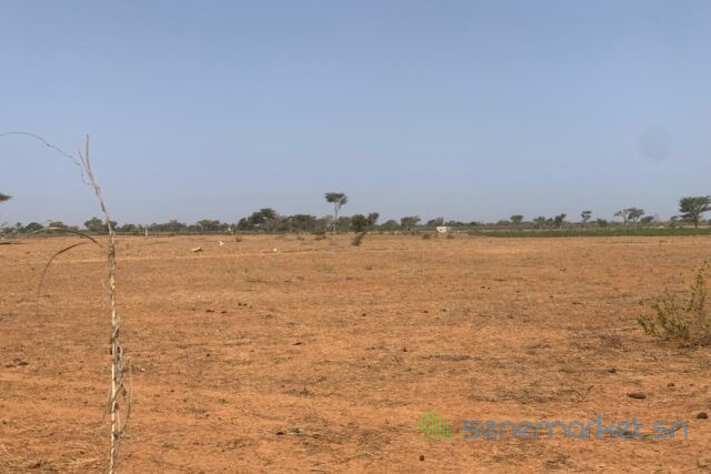 terrain-de-130-hectare-vers-notto-diobass-big-2