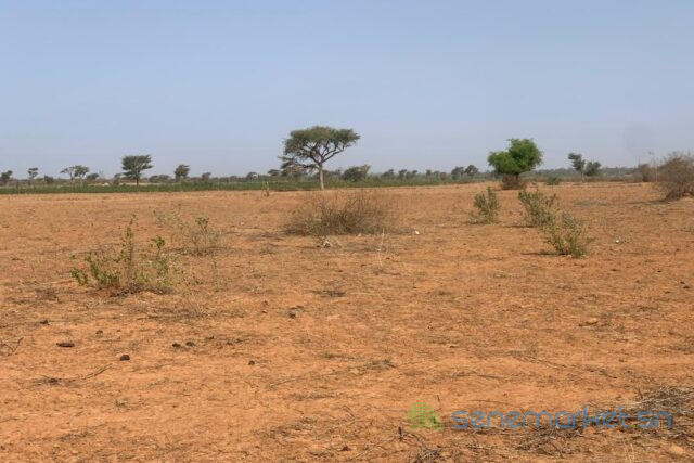 terrain-de-130-hectare-vers-notto-diobass-big-1