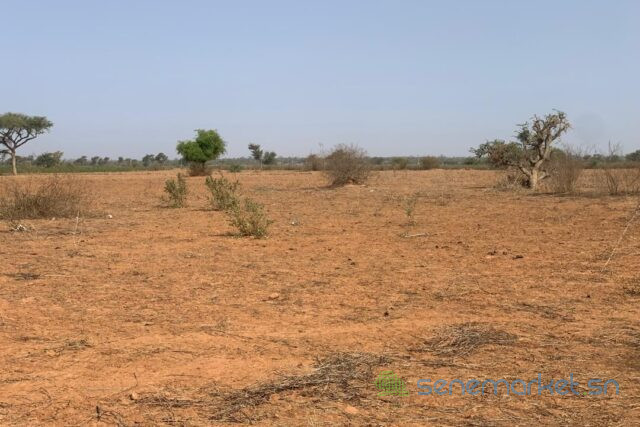 terrain-de-130-hectare-vers-notto-diobass-big-0