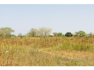 Terrain de 1,32 hectare vers Koul