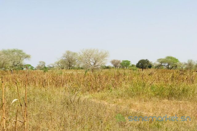 terrain-de-132-hectare-vers-koul-big-0