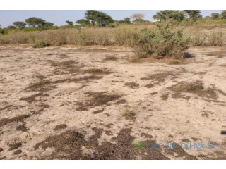Terrain de 1,32 hectare vers Taïba Ndiaye