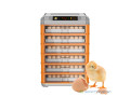 vente-dincubateurcouveuse-et-de-materiel-avicole-small-4