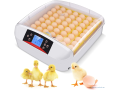 vente-dincubateurcouveuse-et-de-materiel-avicole-small-2