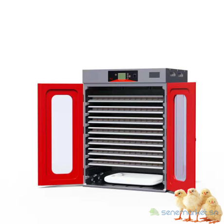 vente-dincubateurcouveuse-et-de-materiel-avicole-big-0
