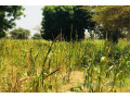 terrain-de-134-hectare-vers-baba-garage-small-1