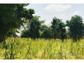 terrain-de-134-hectare-vers-baba-garage-small-2