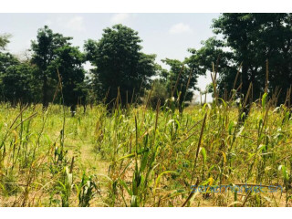 Terrain de 1,34 hectare vers Baba Garage