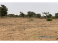terrain-de-137-hectare-vers-notto-diobass-small-1