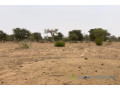 terrain-de-137-hectare-vers-notto-diobass-small-0