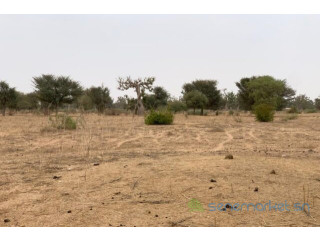 Terrain de 1,37 hectare vers Notto Diobass