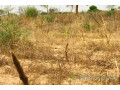 terrain-de-138-hectare-vers-meouane-small-2