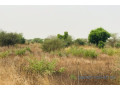 terrain-de-138-hectare-vers-meouane-small-0