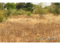 terrain-de-138-hectare-vers-meouane-small-1