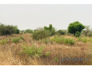 Terrain de 1,38 hectare vers Méouane