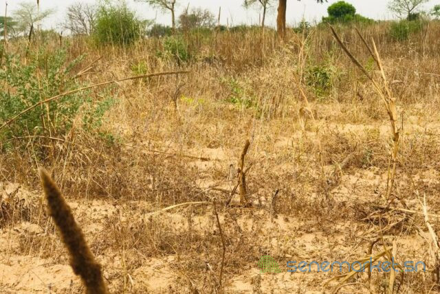 terrain-de-138-hectare-vers-meouane-big-2