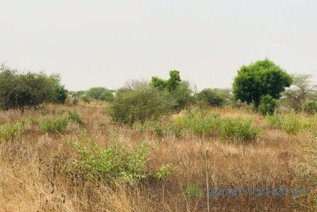 terrain-de-138-hectare-vers-meouane-big-0