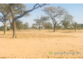 terrain-de-14-hectare-vers-notto-diobass-small-0