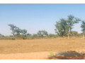 terrain-de-14-hectare-vers-notto-diobass-small-1