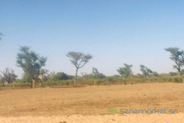 terrain-de-14-hectare-vers-notto-diobass-big-2