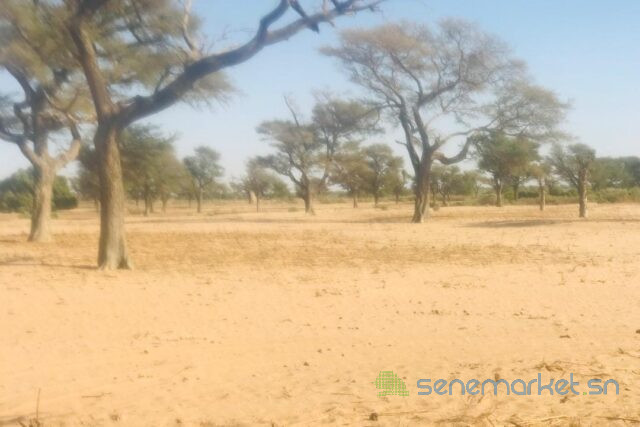 terrain-de-14-hectare-vers-notto-diobass-big-0