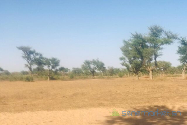 terrain-de-14-hectare-vers-notto-diobass-big-1