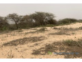 terrain-de-140-hectare-vers-gandiol-small-1