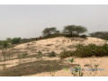 terrain-de-140-hectare-vers-gandiol-small-0