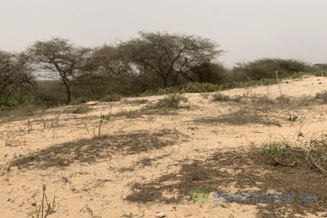 terrain-de-140-hectare-vers-gandiol-big-1