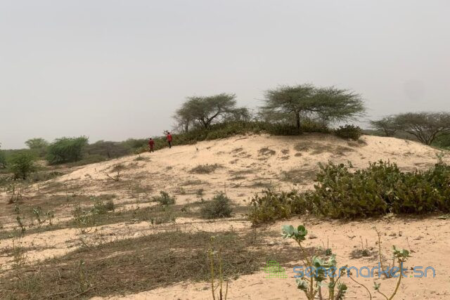 terrain-de-140-hectare-vers-gandiol-big-0
