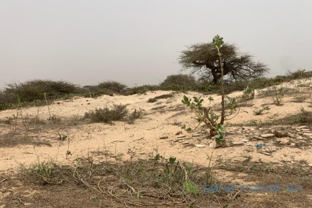 terrain-de-140-hectare-vers-gandiol-big-2