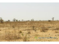terrain-de-141-hectare-vers-ngueniene-small-0