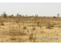 terrain-de-141-hectare-vers-ngueniene-small-2