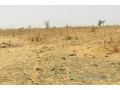 terrain-de-141-hectare-vers-ngueniene-small-1