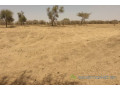 terrain-de-143-hectare-vers-sagata-small-1
