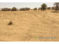 terrain-de-143-hectare-vers-sagata-small-0