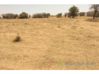 Terrain de 1,43 Hectare vers Sagata