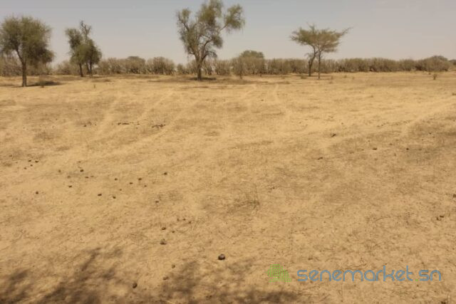 terrain-de-143-hectare-vers-sagata-big-1