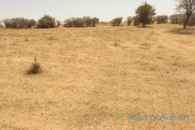 terrain-de-143-hectare-vers-sagata-big-0