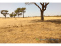 terrain-de-144-hectare-a-tassette-small-0