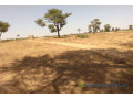 terrain-de-144-hectare-a-tassette-small-1